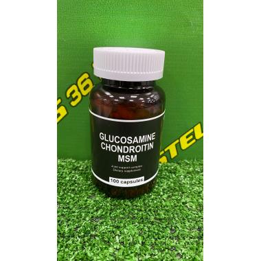 Glucosamine Chondroitin MSM 100 капсул
